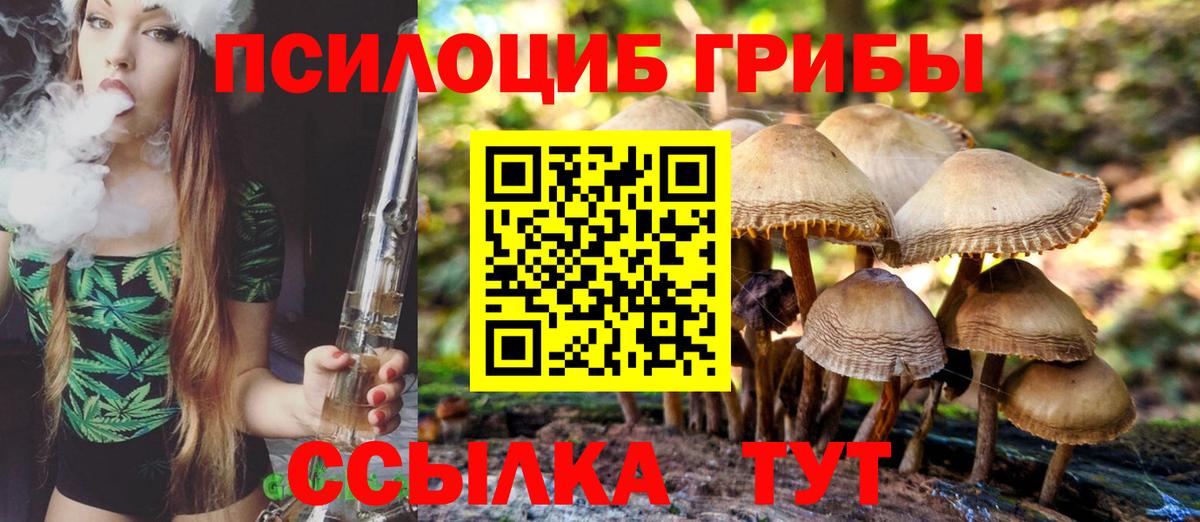 Псилоцибиновые грибы Magic Shrooms Узловая